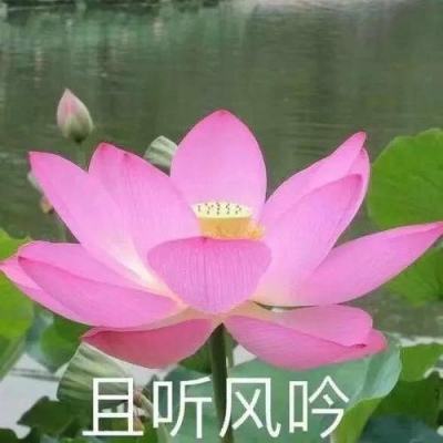 《伟大的渡江在靖江》新书发布暨弘扬“东线第一帆”精神研讨会在京举行